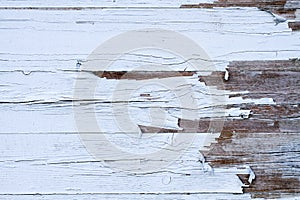 Grungy and old weathered white timber wood wall texture background marked by long exposure to the elements outdoors