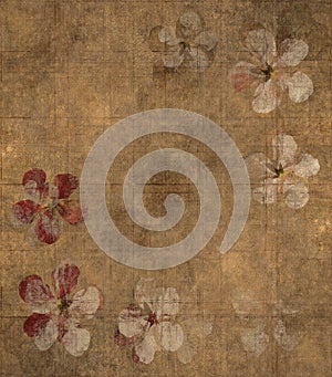 Grungy petal parchment background photo