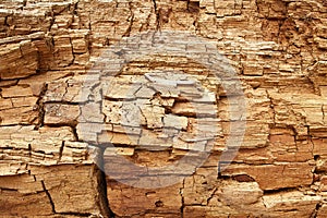 Grungy rotten wood texture