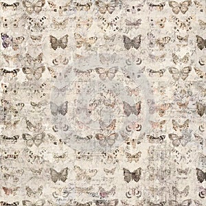 Grungy shabby chic butterfly design wallpaper background