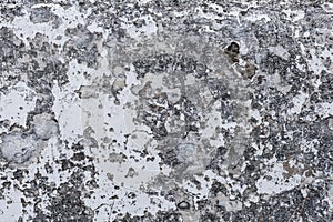 Grungy cement surface with peeling white paint background textur