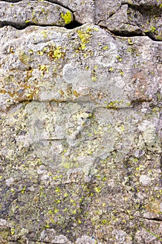grungy texture of a grey stone