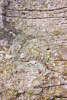 grungy texture of a grey stone