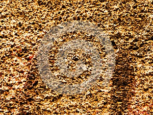 Grungy wall Sandstone surface background