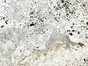 Grungy wall Sandstone surface background