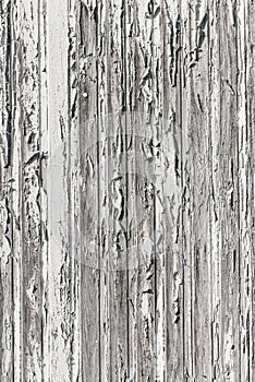 Grungy white wooden wall with rough texture