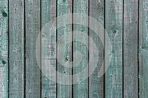 Grungy wood texture. Old shabby fence boards