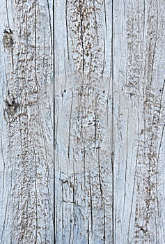Grungy Wooden Planks