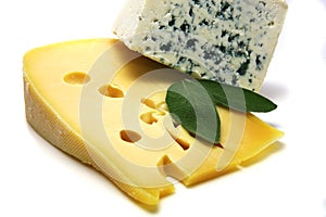 Gruyere cheese and roquefort isolated