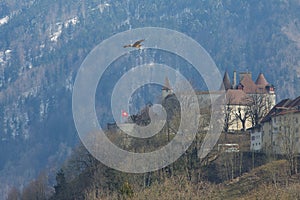 Gruyeres castle