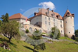 Gruyeres Castle photo