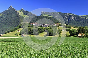 GruyÃ¨res