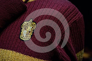 Gryffindor sweater