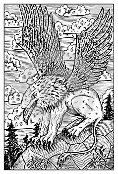 Gryphon. Engraved fantasy illustration photo