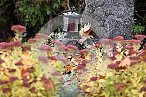 Gräber friedhof im herbst österreich Europa 