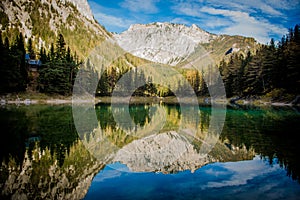 GrÃÂ¼ner See Green Lake photo