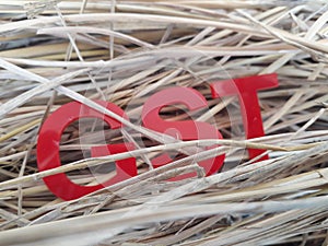 GST acrylic word letters with grass as background.