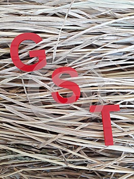 GST acrylic word letters in red text.