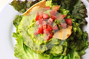 Guacamole, avocado healthy delicious salad with tomatoe and totopos