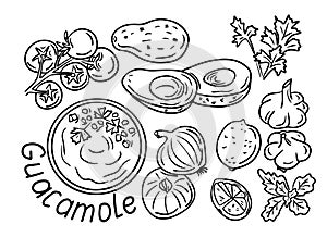 Guacamole ingredients doodle set. Food collection