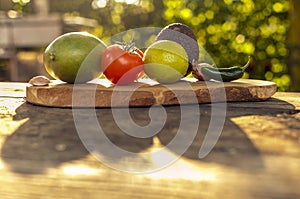 Guacamole ingredients in sunlight