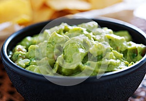 Guacamole in molcajete bowl panorama