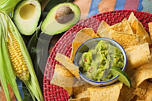 Guacamole and nacho chips photo