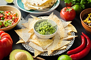 Guacamole, tortilla chips and salsa. Mexican food selection