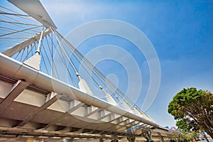 Guadalajara, Mexico, Matute Remus Bridge