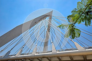 Guadalajara, Mexico, Matute Remus Bridge