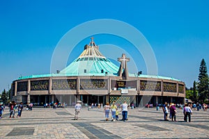 Guadalupe Basilic with blue sky