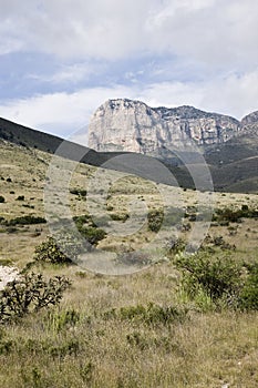 Guadalupe Mountains