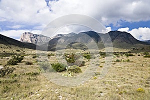 Guadalupe Mountains