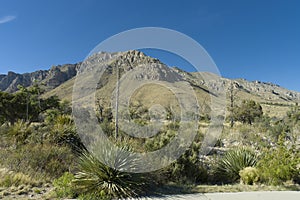 Guadalupe Mountains formation