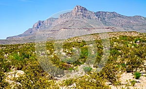 Guadalupe Mountains National Park