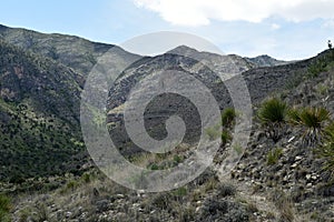 Guadalupe Mountains Tejas Trail