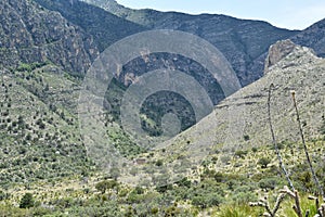 Guadalupe Mountains Tejas Trail