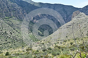 Guadalupe Mountains Tejas Trail photo