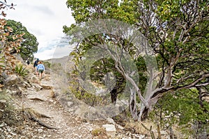Guadalupe Mountains Texas