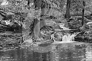 Guadalupe River in Ingram Texas, Black and White