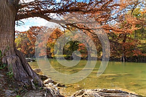 Guadalupe River State Park Fall Colors