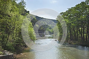 Guadalupe River in the Texas Hill Country during Spring