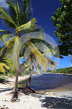 Guadeloupe beautiful beach - Porte d`Enfer photo