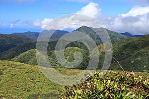 Guadeloupe mountain landscape