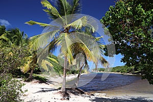 Guadeloupe nature