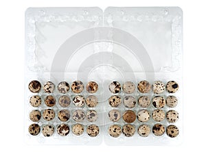 Guail eggs in plastic containers.