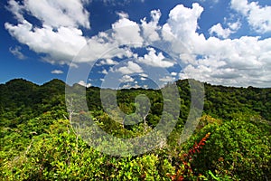 Guajataca Forest Reserve - Puerto Rico photo