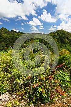 Guajataca Forest Reserve - Puerto Rico photo