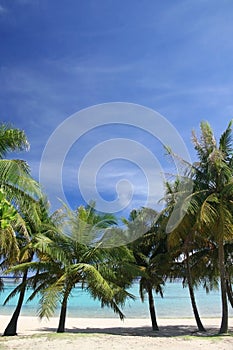 Guam background