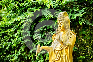 Guan yin statue in chiangmai Thailand